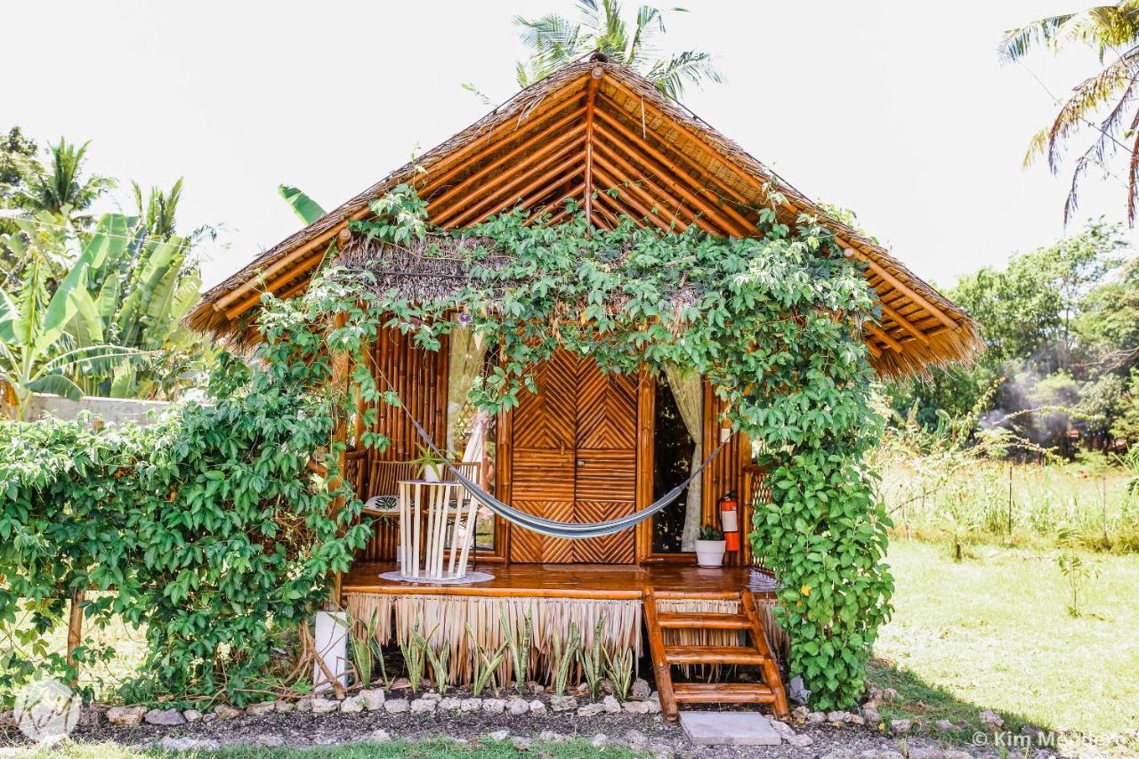 Tongo Hill Cottages Моалбоал Экстерьер фото